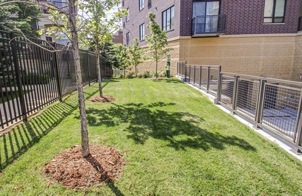 The Paxon Apartments: Spacious fenced dog park with agility equipment in a pet-friendly community