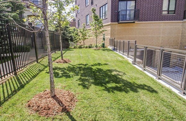 dog park at The Paxon Apartments