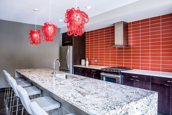 Clubhouse kitchen featuring modern appliances and island seating at Velo Apartments in a luxury setting