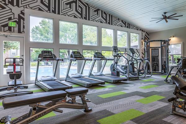 fitness center at Spring Park Apartments