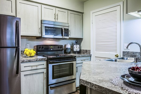 Open-concept kitchen with sleek countertops and modern appliances at Spring Park Apartments