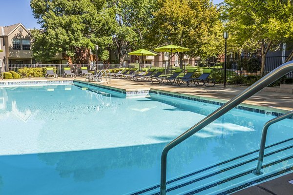Outdoor pool with lush landscaping at Spring Park Apartments, offering luxury amenities for relaxation