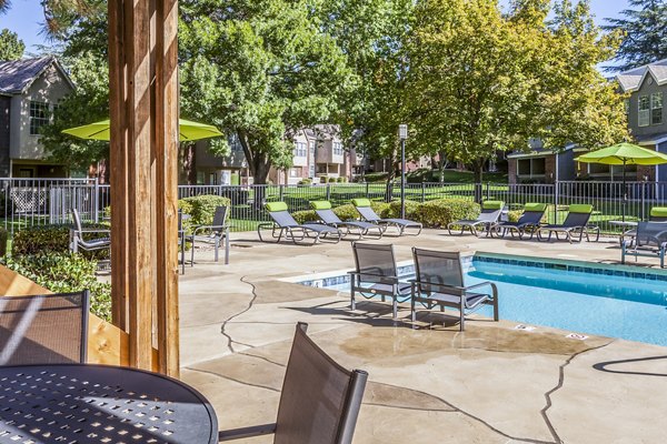 Inviting outdoor pool at Spring Park Apartments with lush landscaping and lounge chairs