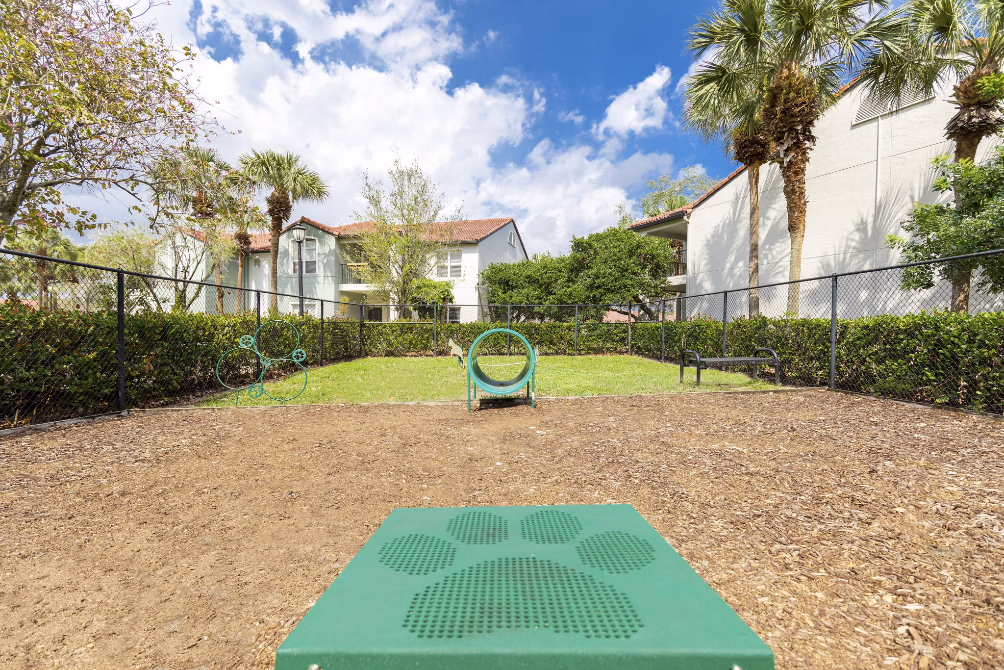 Spacious dog park with agility equipment at Mira Flores Apartments offering a pet-friendly community experience