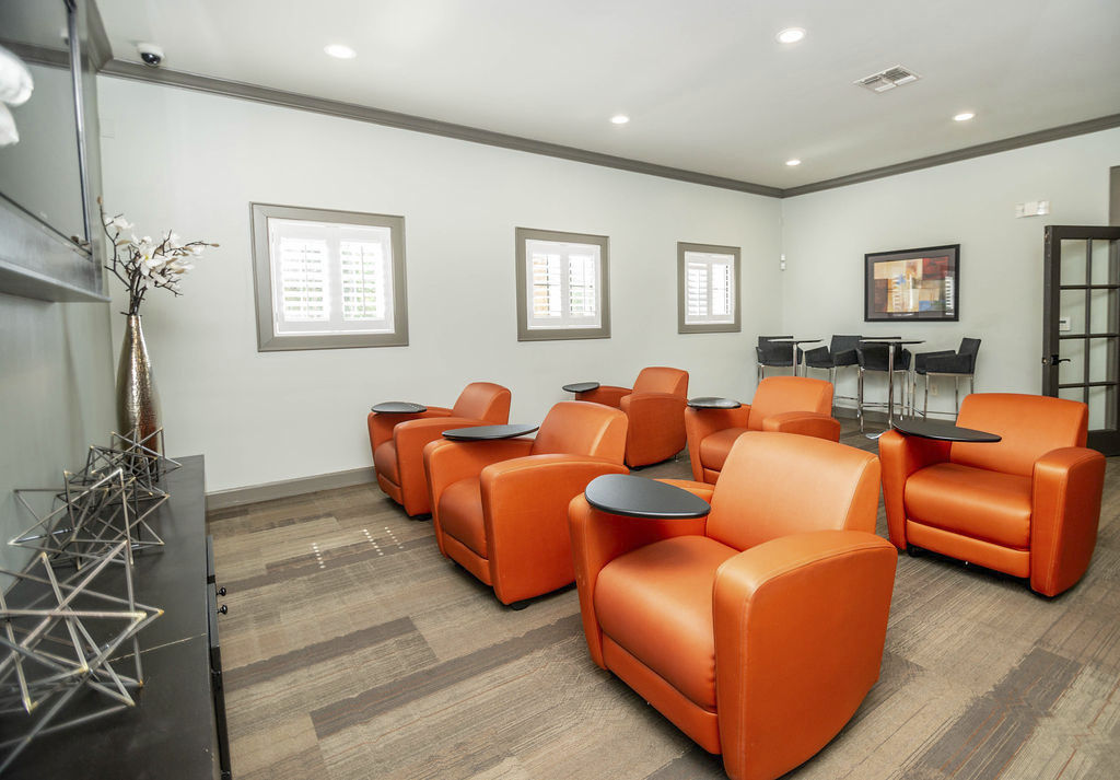 Lounge at Brisa At Shadowlake