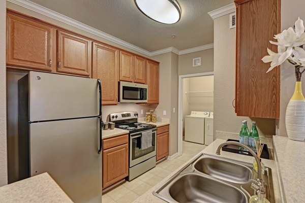 Modern kitchen with stainless steel appliances at Brisa at Shadowlake