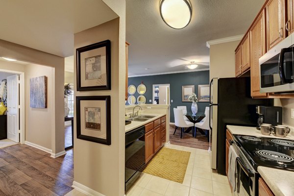 Kitchens with granite countertops and stainless steel appliances at Brisa at Shadowlake luxury apartments