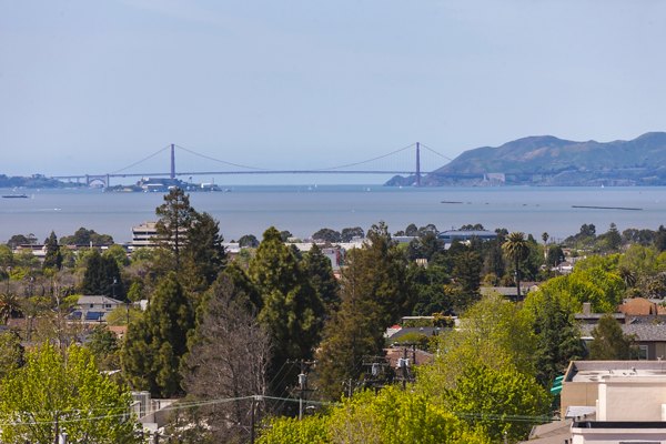 Scenic view from rooftop terrace at The Dwight luxury apartments