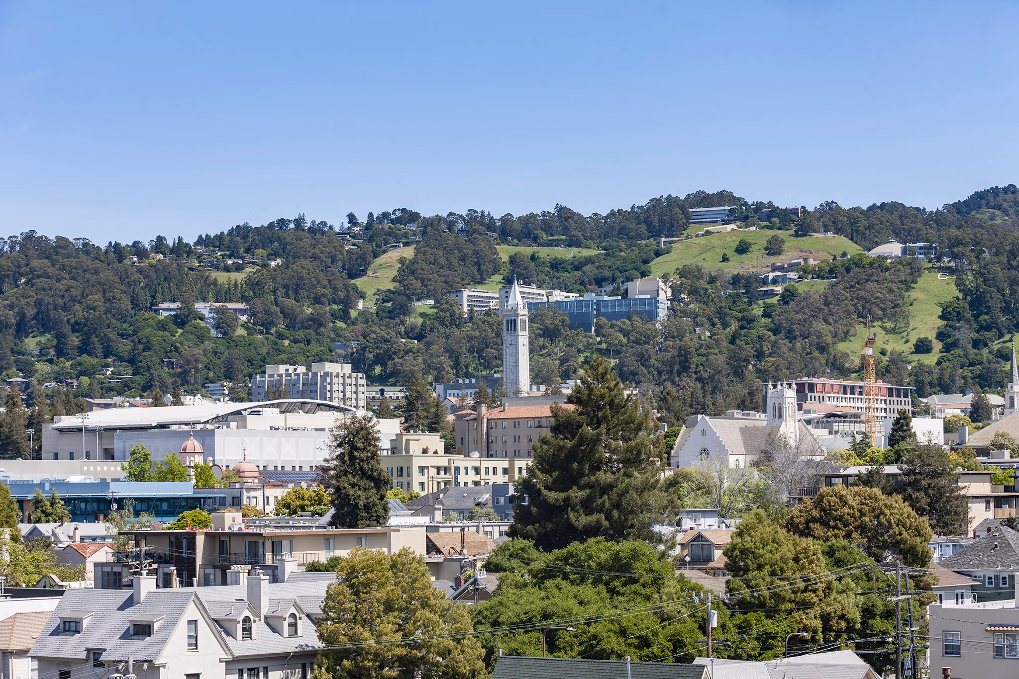 view at The Dwight