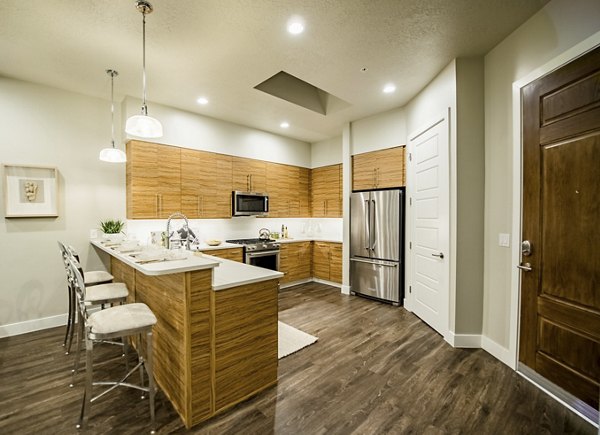 Modern kitchen with stainless steel appliances and sleek cabinetry in Hardware Village Apartments