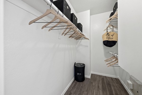 Spacious closet with built-in shelves at Monterra Apartments