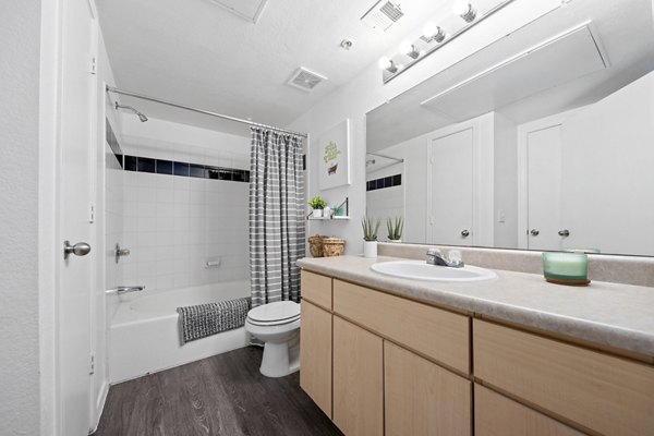 Luxury bathroom with modern fixtures in Monterra Apartments at Greystar