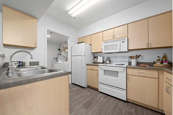 kitchen at Monterra Apartments