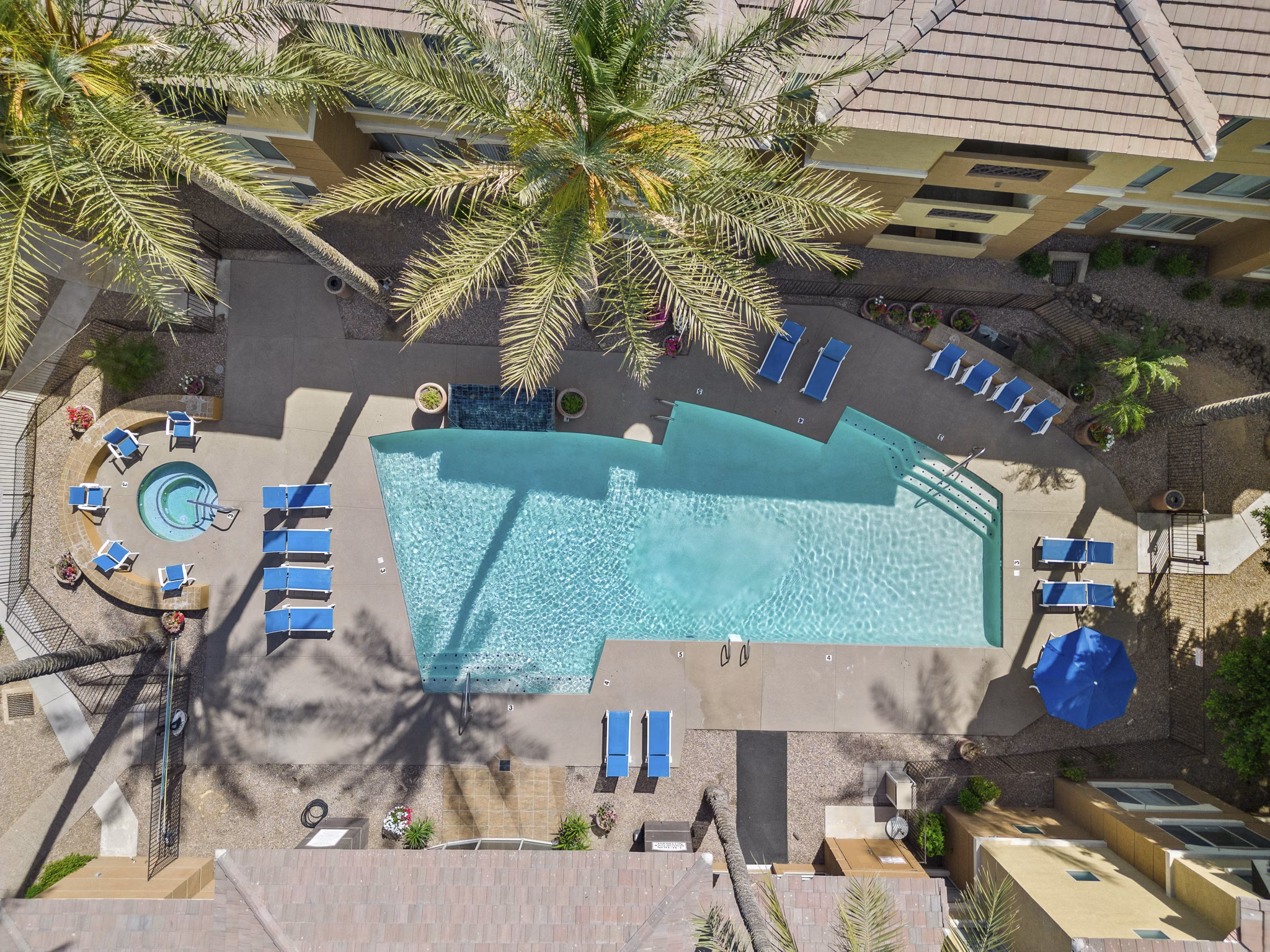 Resort-style swimming pool at Monterra Apartments, providing luxury outdoor relaxation spaces for residents