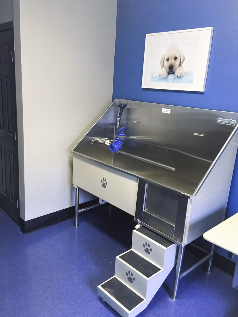 Dog wash station for pets at The Prato at Midtown Apartments