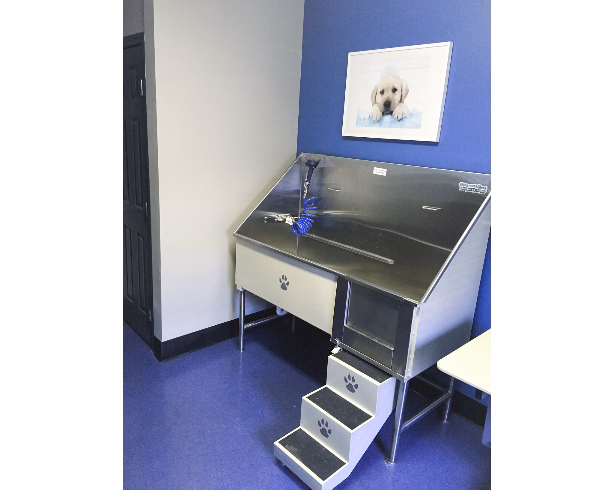 Dog wash station for pets at The Prato at Midtown Apartments