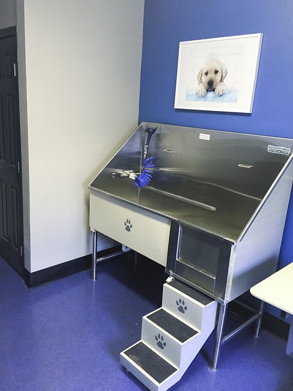 Dog wash station for pets at The Prato at Midtown Apartments