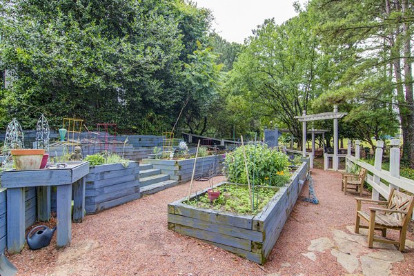 Community garden at The Prato at Midtown Apartments with lush greenery and vibrant flower beds offering a peaceful retreat for residents