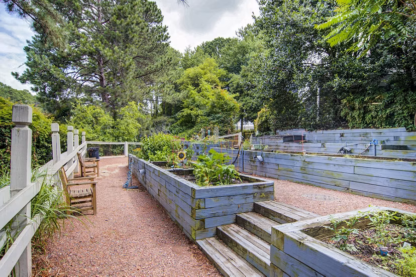 Community garden with lush greenery at The Prato at Midtown Apartments promotes urban sustainability living