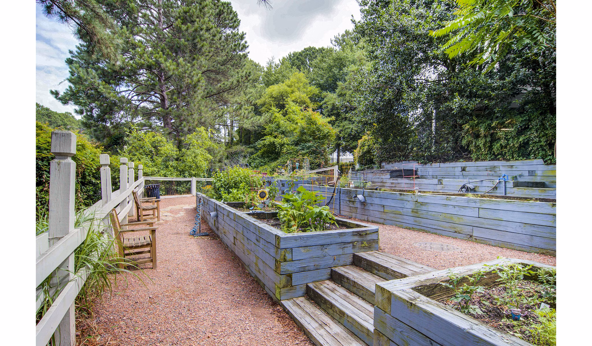 Community garden with lush greenery at The Prato at Midtown Apartments promotes urban sustainability living