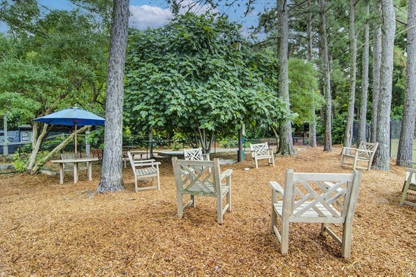 courtyard patio and dog park at The Prato at Midtown Apartments