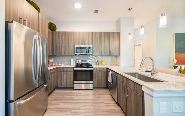 kitchen at Overture Centennial Apartments