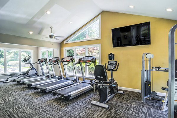 State-of-the-art fitness center with modern equipment at Junction at Vinings Apartments, perfect for an active lifestyle