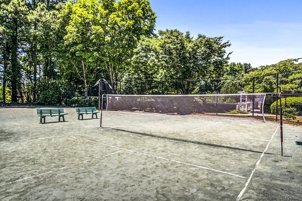 Volleyball court at Junction at Vinings Apartments featuring sand and net for recreation and sports activities