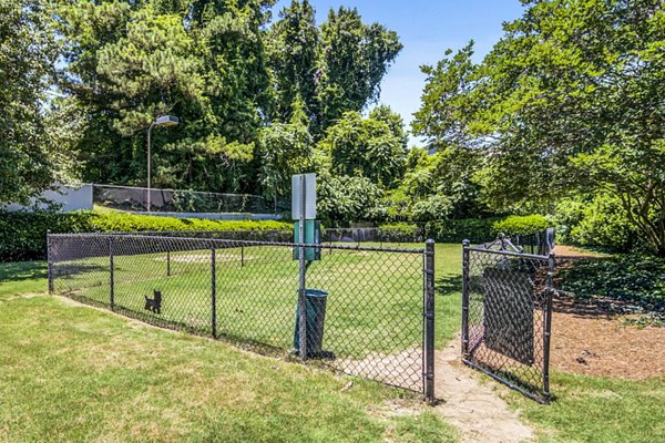 Spacious dog park with agility equipment at Junction at Vinings Apartments, offering pet-friendly amenities for active lifestyles