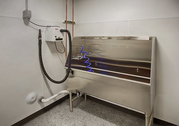 Convenient dog wash station at SOVA Apartments, a Greystar luxury property
