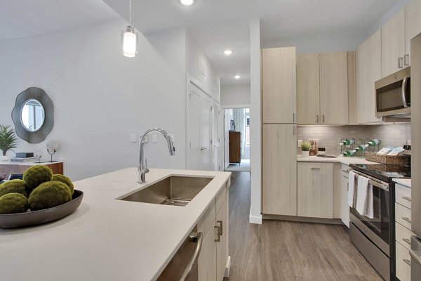kitchen at Overture 9th + CO Apartments