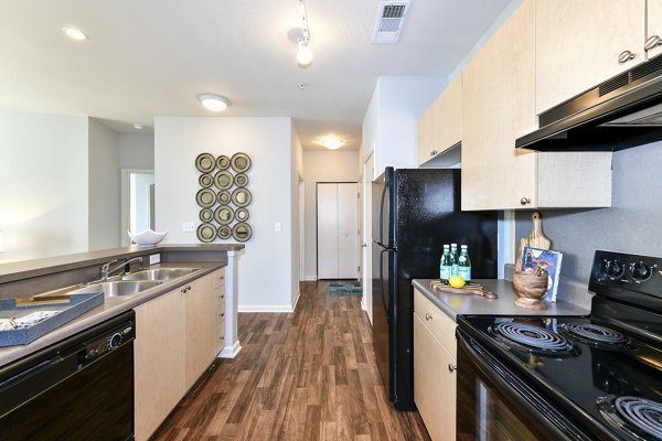 Modern kitchen with stainless steel appliances at Avana on Main Apartments