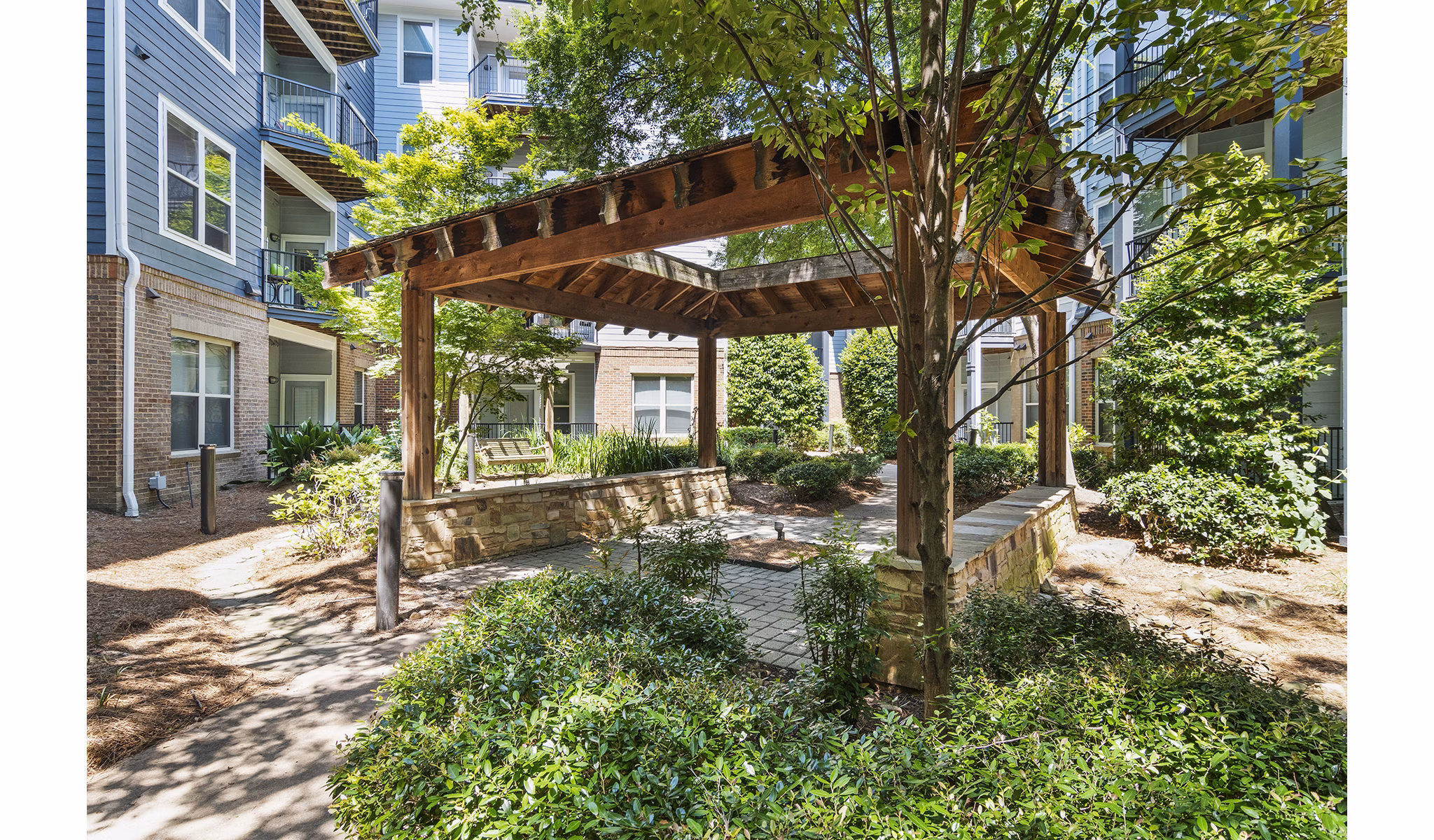 Avana on Main: Tranquil courtyard with lush greenery at luxury apartments in a vibrant urban setting