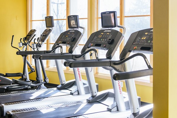 State-of-the-art fitness center with modern equipment at Avana Southview Apartments