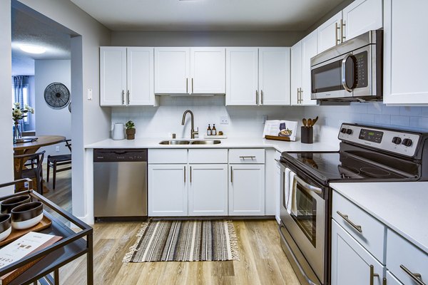 Contemporary kitchen with stainless steel appliances at Avana Southview Apartments, offering a luxury living experience
