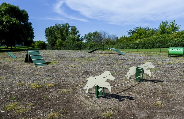 Well-equipped dog park with agility ramps and hurdles for playful pups at luxury apartments
