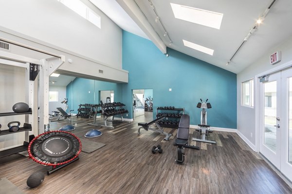 State-of-the-art fitness center with modern equipment at Avana Springs Apartments