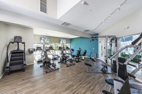 fitness center at Avana Springs Apartments