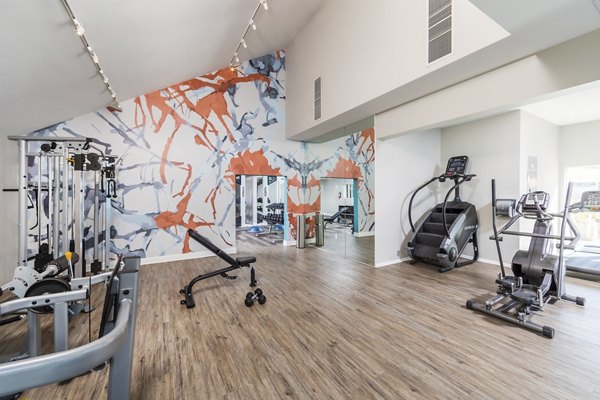 State-of-the-art fitness center with modern equipment at Avana Springs Apartments in luxury community setting