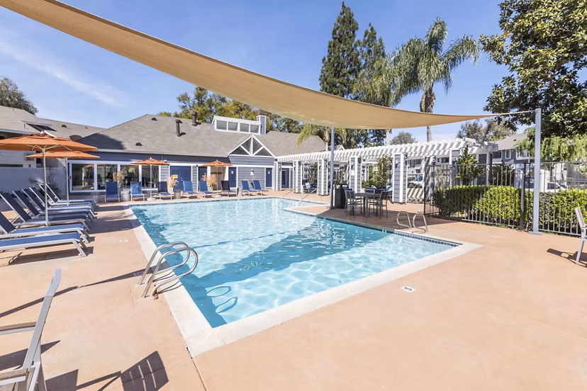 Lush landscaped pool with lounge seating at Avana Springs Apartments, a Greystar luxury community
