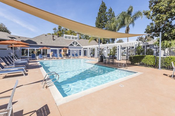 Lush landscaped pool with lounge seating at Avana Springs Apartments, a Greystar luxury community