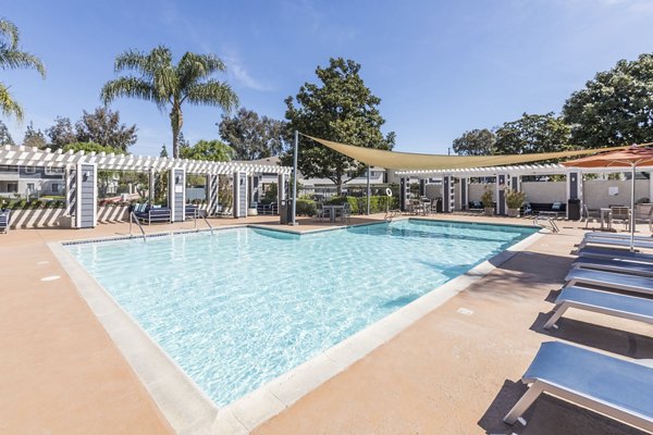 Sparkling pool with sun loungers at Avana Springs Apartments, a Greystar luxury community