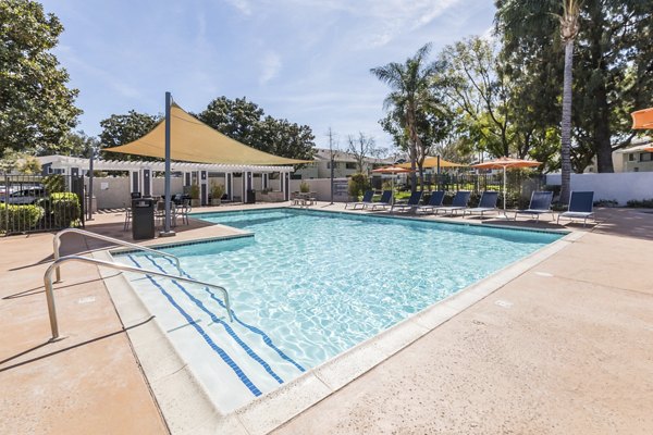 Resort-style pool with sun loungers at Avana Springs Apartments offering luxury living with Greystar's signature amenities