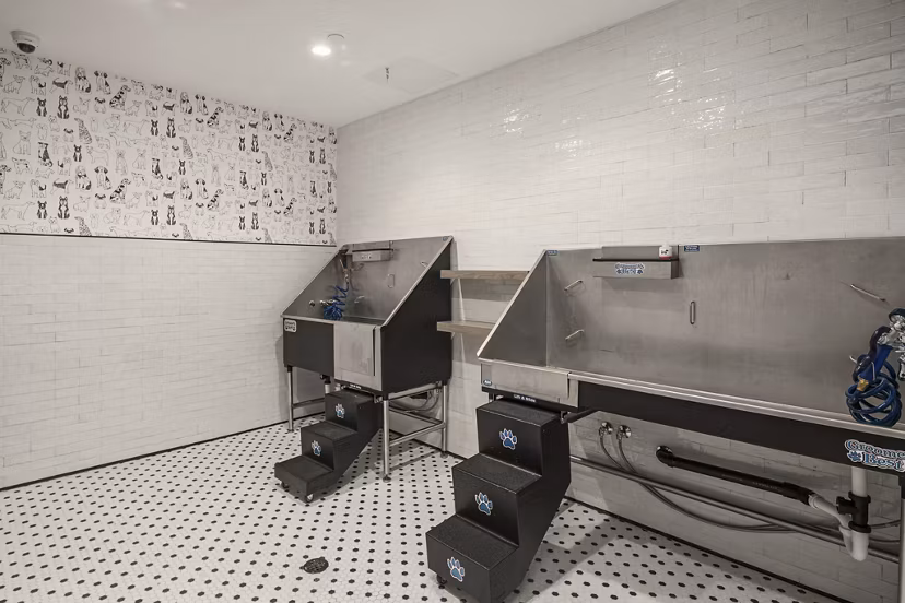 dog wash station at The Victor Apartments