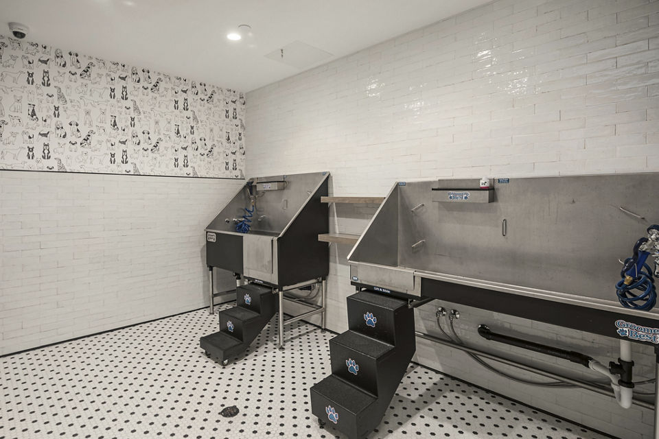 dog wash station at The Victor Apartments