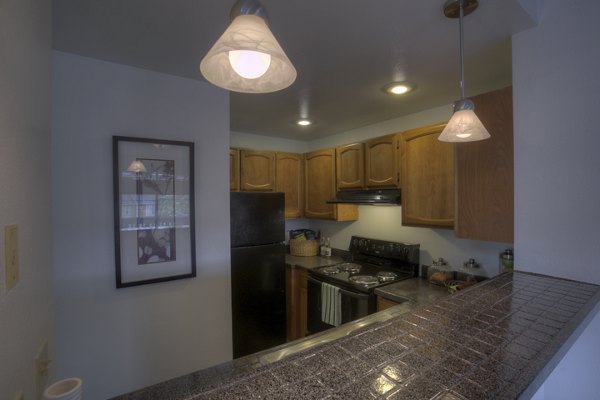 Modern kitchen with sleek countertops and stainless steel appliances at Riverstone Apartments