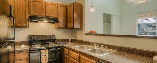Modern kitchen featuring stainless steel appliances and granite countertops in Riverstone Apartments luxury living