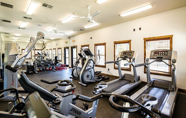 Fitness center with modern equipment at The Emerson Apartments, offering luxury amenities and a healthy lifestyle option for residents