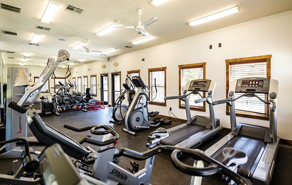 fitness center at The Emerson Apartments