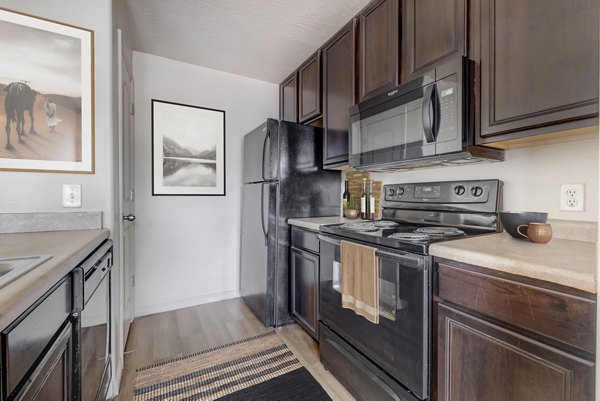 Modern kitchen with stainless steel appliances and quartz countertops at The Emerson Apartments